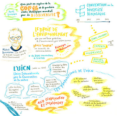 Facilitation graphique réalisée par Hélène Bléhaut lors de notre rencontre épique époque autour de la COP16 