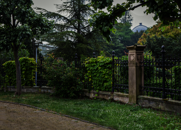 Visite guidée des Jardins du Campus historique