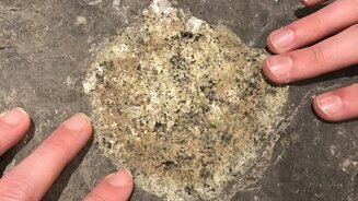 Mains qui touchent une roche volcanique