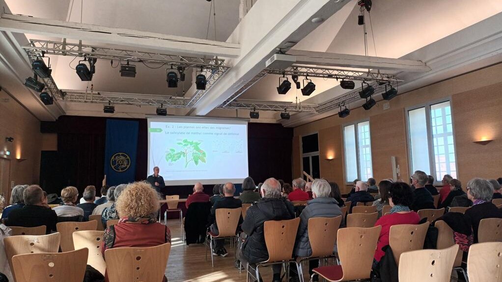 Conf' voisine dans une ville partenaire