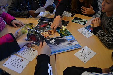 Des élèves regroupés autour d'une table manipulant des photos et cartes sur la biodiversité en Antarctique lors d'une activité éducative