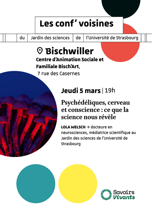 Psychédéliques, cerveau et conscience : ce que la science nous révèle 