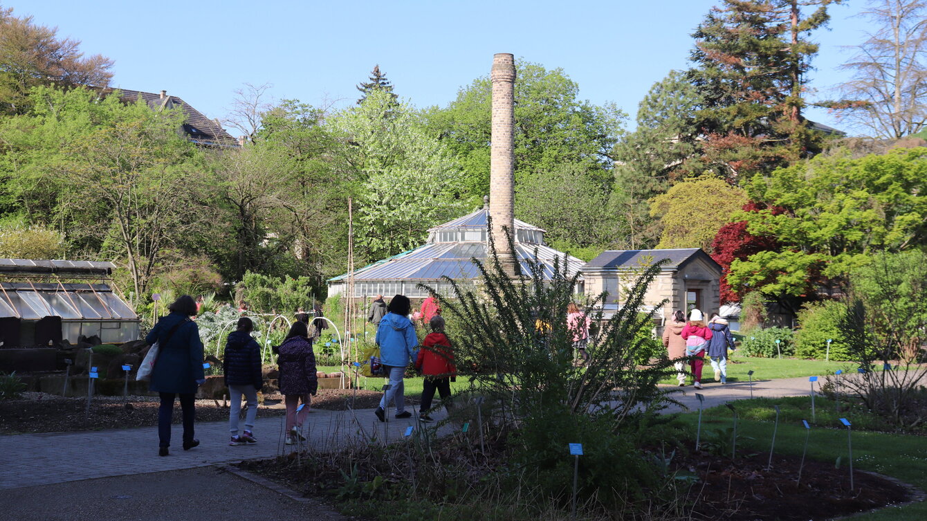 Atelier les explorateurs du Jardin botanique