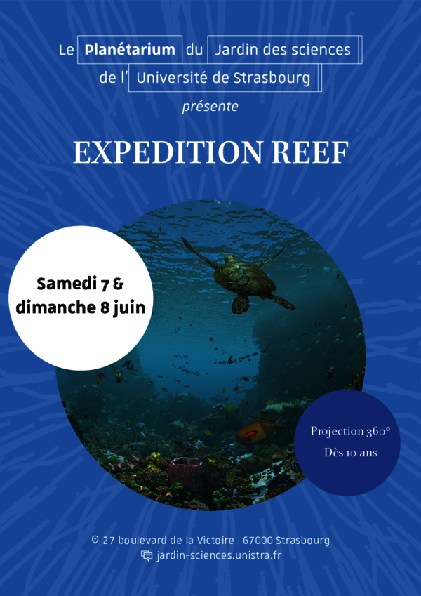Affiche pour le spectacle Expedition Reef