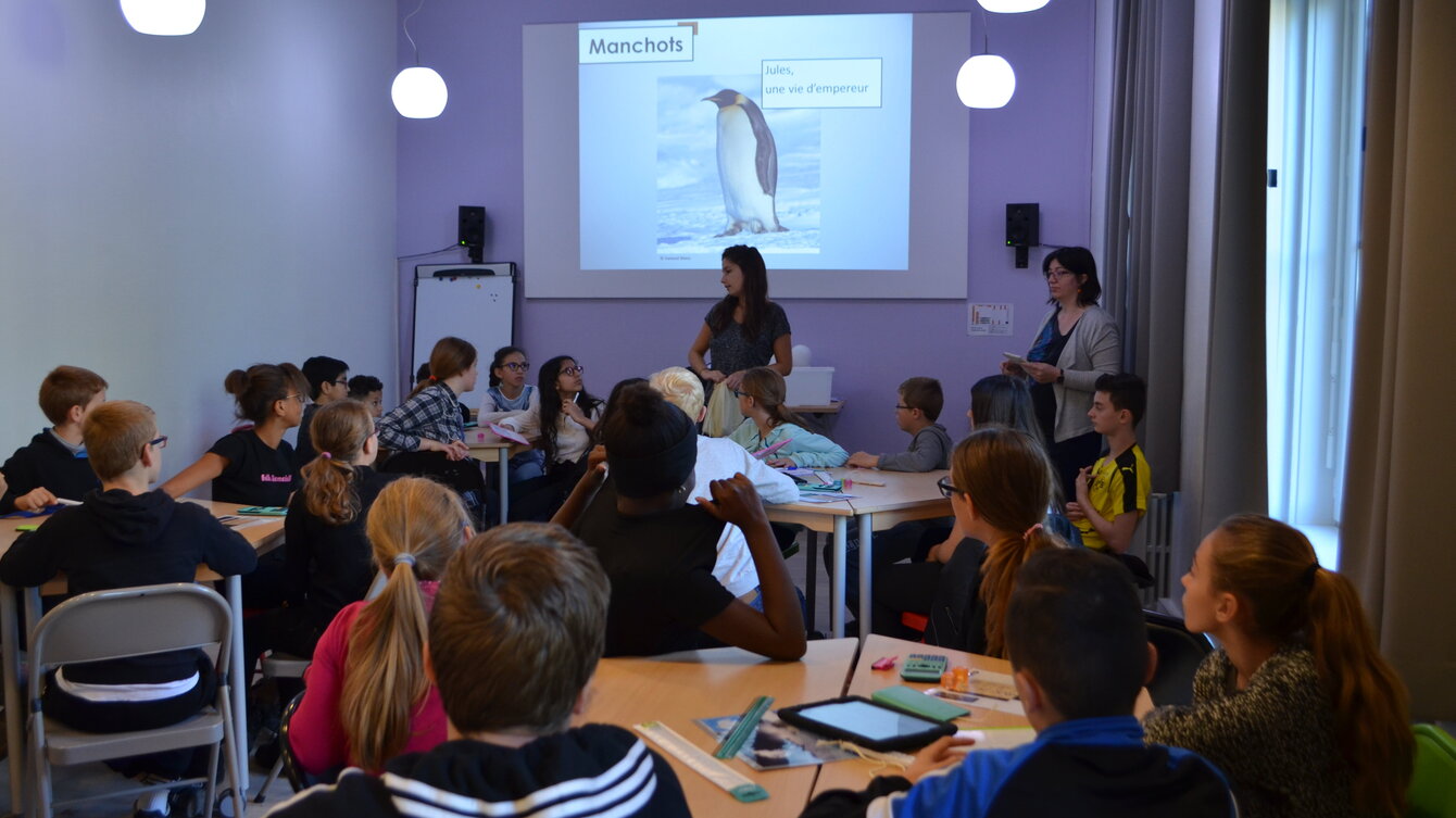 Atelier scolaire : la biodiversité en Antarctique