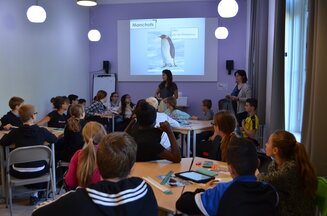 Atelier scolaire : la biodiversité en Antarctique