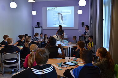 Atelier scolaire : la biodiversité en Antarctique