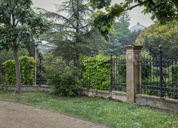 Visite guidée des Jardins du Campus historique