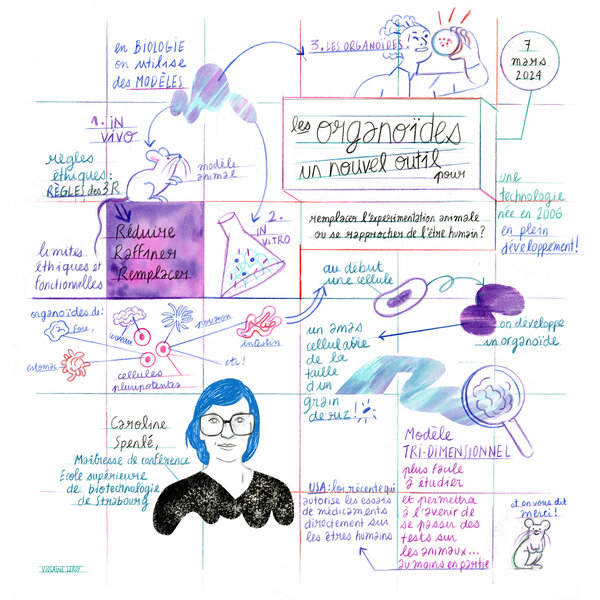 Fresque illustrée par Violaine Leroy