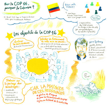 Facilitation graphique réalisée par Hélène Bléhaut lors de notre rencontre épique époque autour de la COP16 