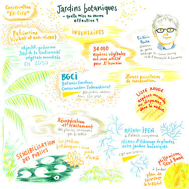 Facilitation graphique réalisée par Hélène Bléhaut lors de notre rencontre épique époque autour de la COP16 