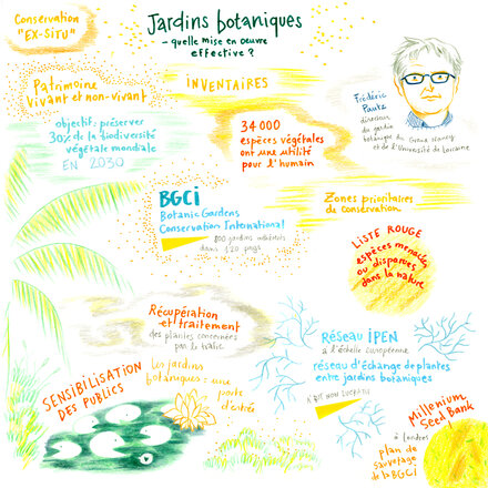 Facilitation graphique réalisée par Hélène Bléhaut lors de notre rencontre épique époque autour de la COP16 
